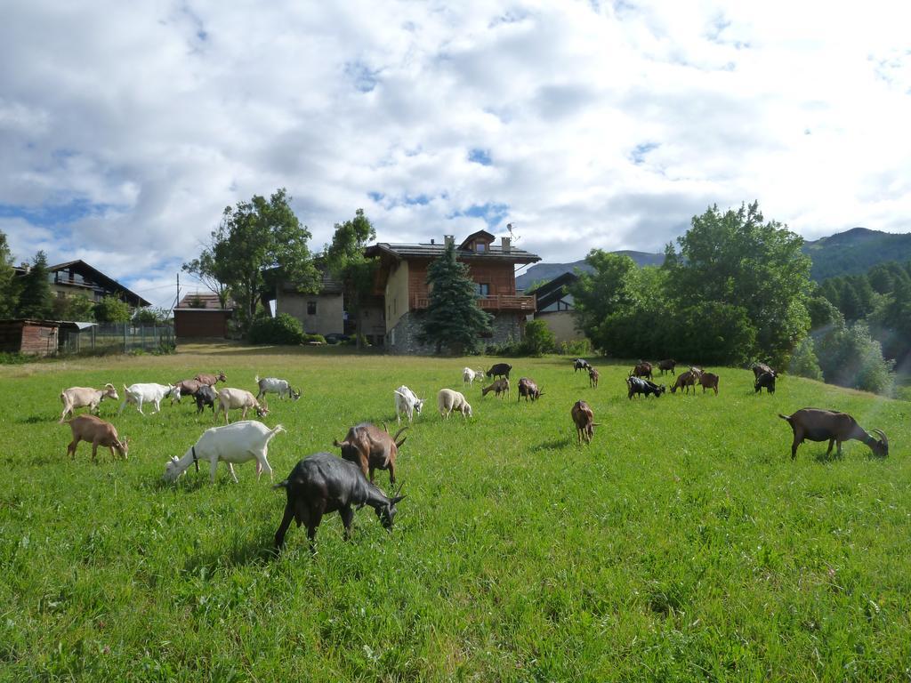 Agriturismo Barba Gust Cesana Torinese Exterior photo